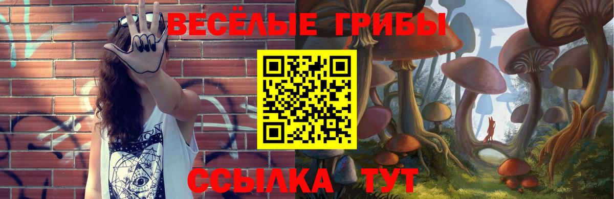 Воронеж  Псилоцибиновые грибы MAGIC MUSHROOMS  Вход с VPN  Псилоцибиновые грибы MAGIC MUSHROOMS 