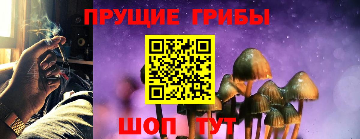 Псилоцибиновые грибы прущие грибы Воронеж